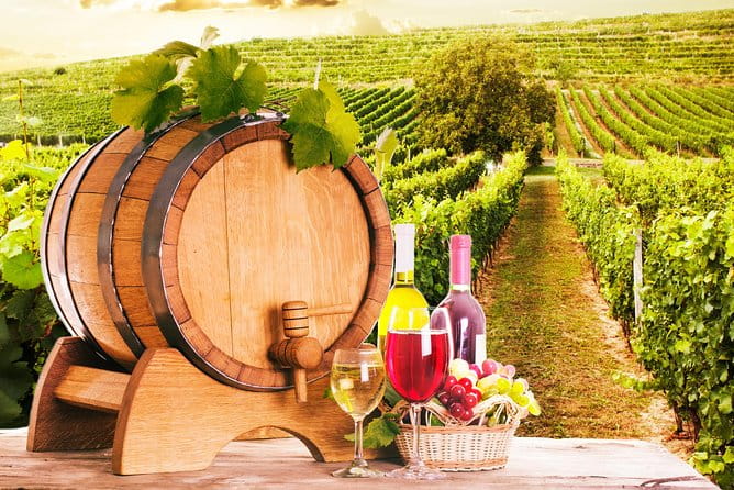 Tour Etna & Wine Tasting Private - A Well-Structured Itinerary for a Full Day