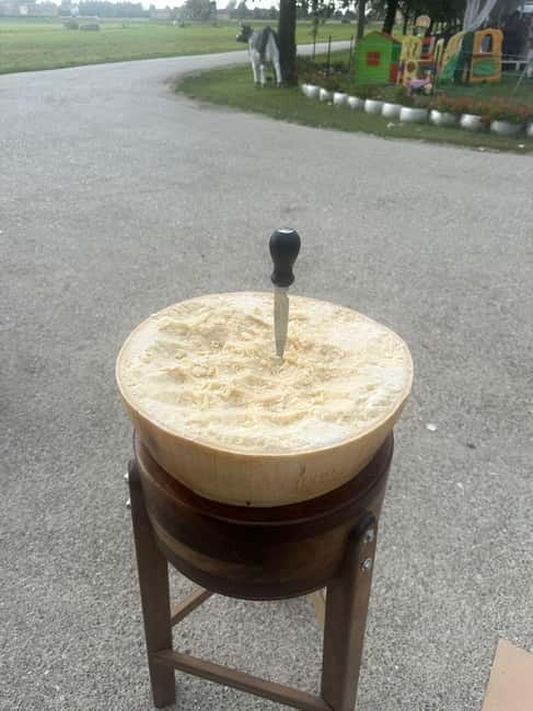 Tour Ferrari, Lambo, Parmesan, Vinegar, Wine with Lunch - FAQs