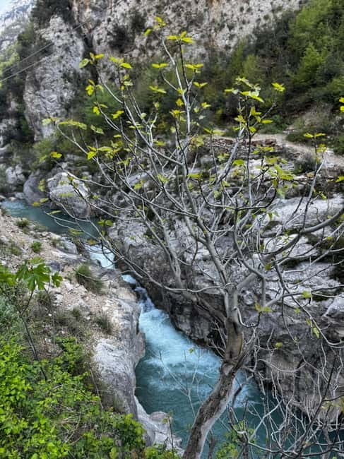 Tour From Durres/Golem Bovilla Lake & Gamti Mountain - Price and Logistics: Is It Worth It?