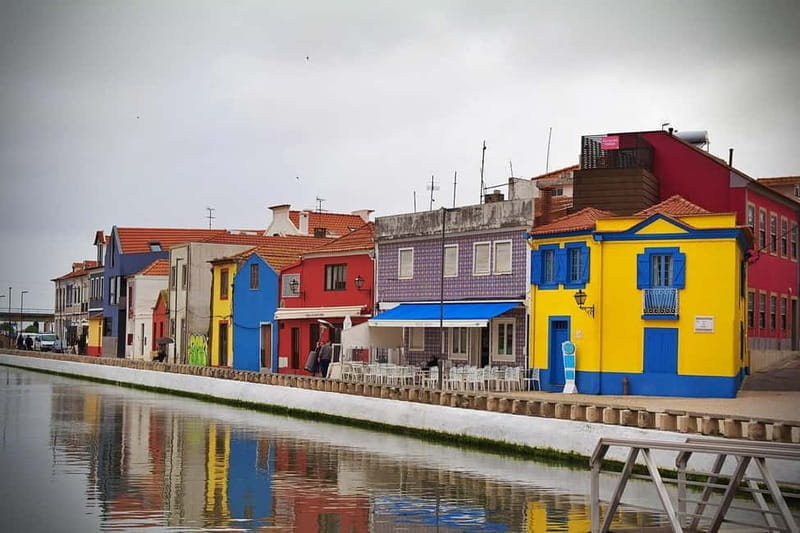 Tour from Lisbon: Aveiro, Coimbra, Conímbriga, and the Palace of Bussaco - A full, detailed look at the tour from Lisbon