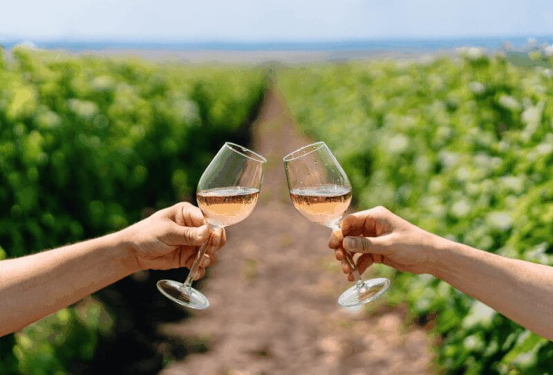 Tour from Lisbon: ÉVORA and Alentejo Wines - Who Will Enjoy This Tour?