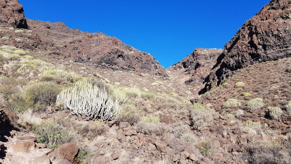 Tour Guguy O Guigui Beach - Key Points