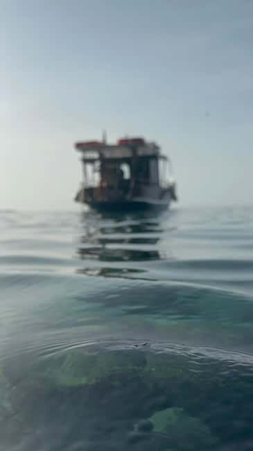 tour in barca con sosta bagno nelle acque di scilla - Exploring Calabria’s Costa Viola by Boat: A Genuine Look at the Pathos Scilla Experience