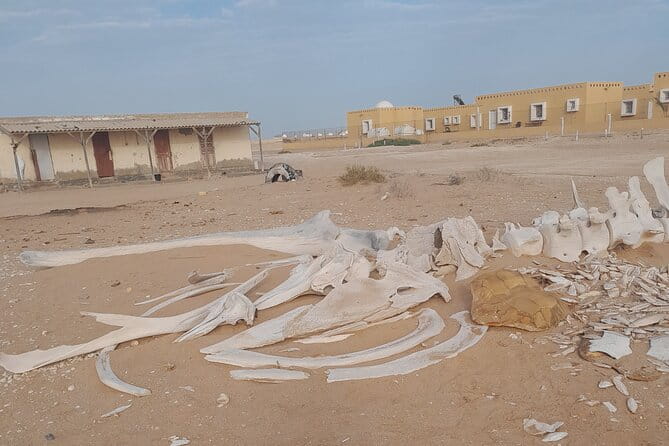 Tour in Mauritania - Meeting and Pickup Details