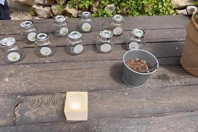 Tour in the heady scents of our garden in Ragusa - Discovering the Aromatic Garden of Ragusa: A Scented Escape