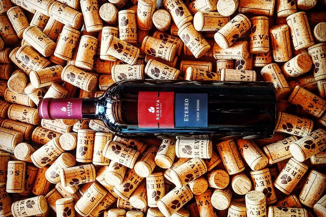 Tour in the Winery and Tasting - Meeting Point Location