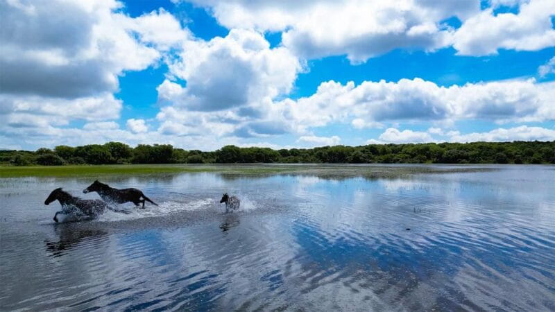 Tour Nature & Wildlife from Cagliari - FAQ