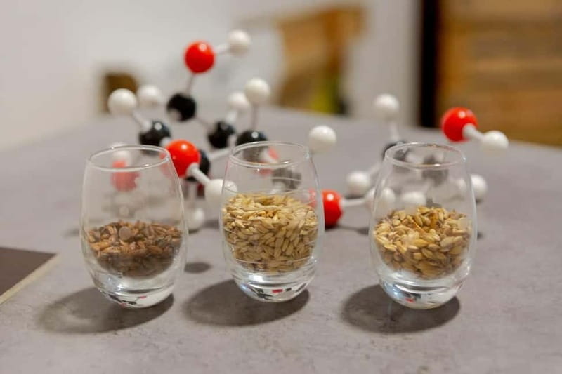 Tour of a craft brewery with tasting - Who Would Love This Experience?