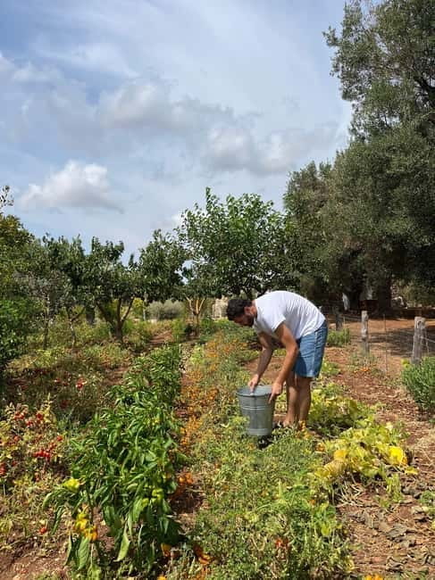 Tour of Apulian farms and local producers - Exploring the Heart of Puglia: A Farm Tour That Feels Like Visiting Family