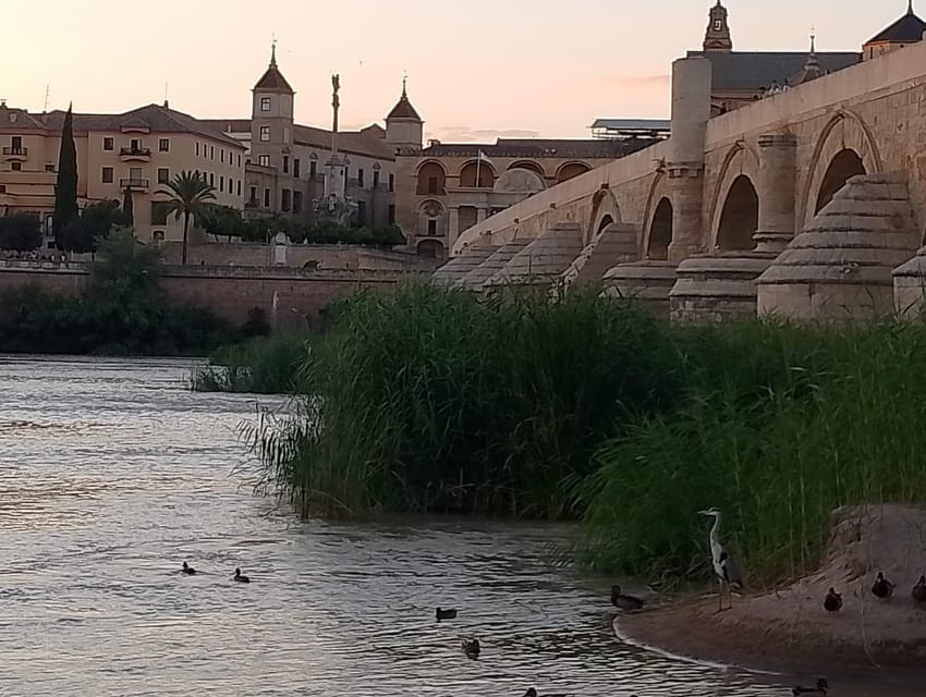 Tour of Córdoba of the Three Cultures - Key Points