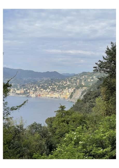 Tour of Genoa and the Ligurian Riviera: From Genoa to Portofino - Final Thoughts: Who Should Book?