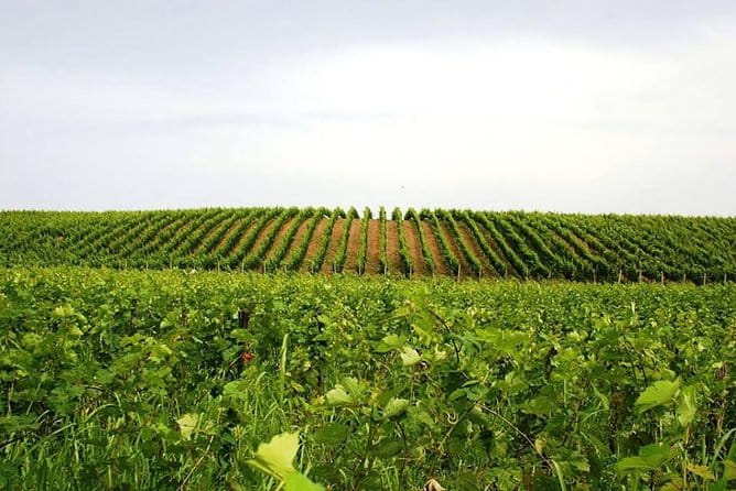 Tour of Kruja and Wine Tasting in one Day from Tirana - Who Should Consider This Tour?