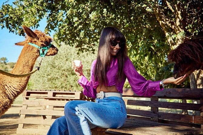 Tour of the Alpacas and the pigs of Cinta Senese in Montepulciano - FAQ