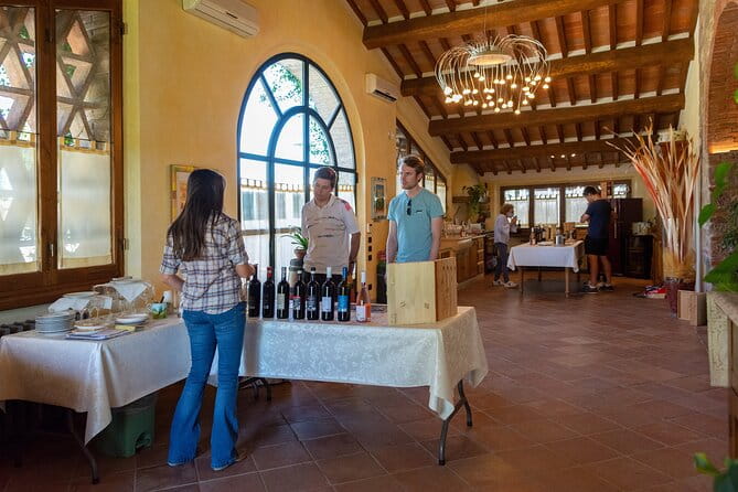 Tour of the cellar and tasting of 6 wines - Key points / Takeaways