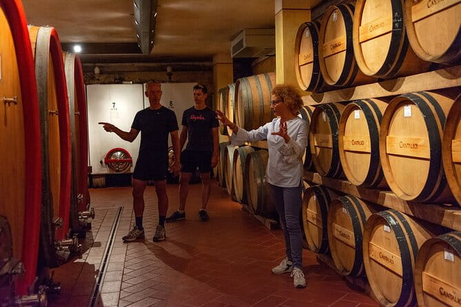 Tour of the cellar and tasting of 6 wines - Who Will Appreciate This Tour?