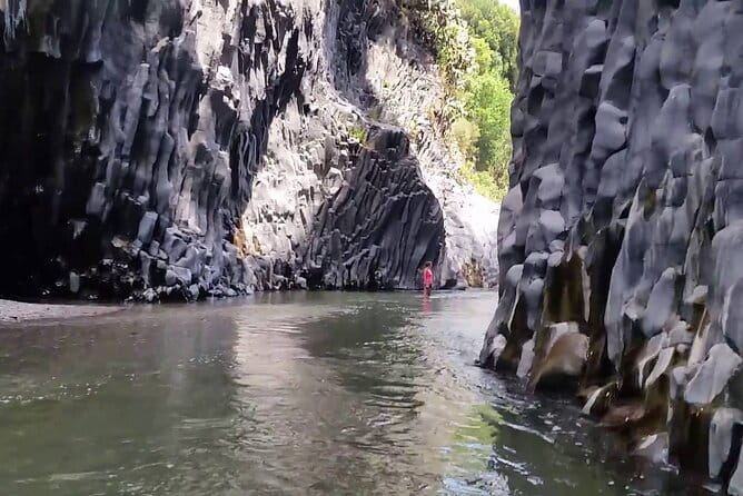 Tour of the Etna cellars, typical lunch and wine tasting - Who Will Love This Tour?