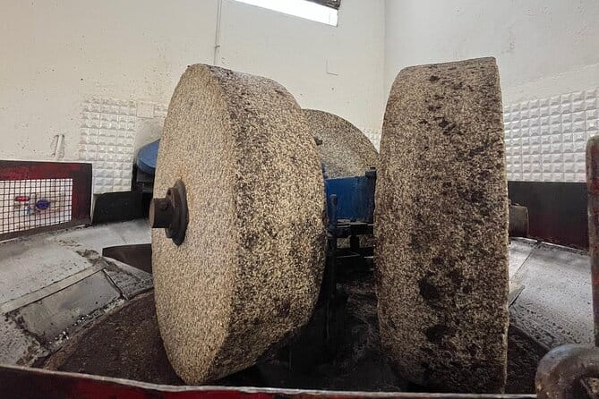 Tour of the oil mill with tasting - A Taste of Tradition: Tour of the Oil Mill with Tasting