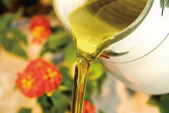 Tour of the oil mill with tasting - The Tasting Experience: Savoring the Fruits of Labor