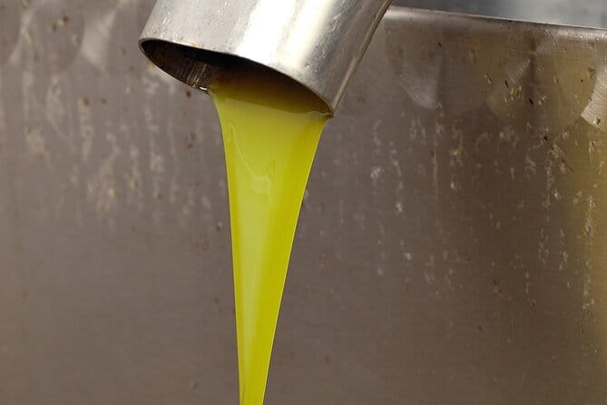 Tour of the oil mill with tasting - Practical Details and Considerations