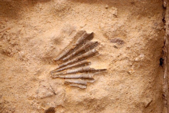 Tour of the Sassi of Matera - A Closer Look at the Itinerary and Experience