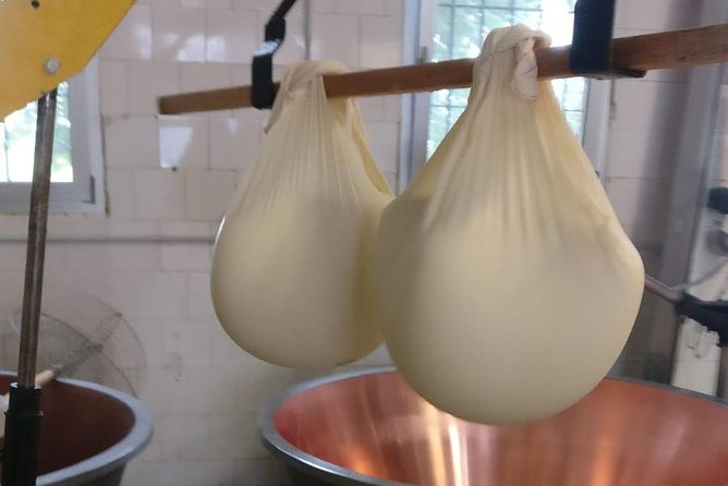 Tour Parmigiano Reggiano Dairy and Parma Ham - Inclusions