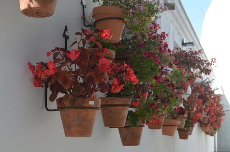 Tour por Estepona Centro - The Value of a Short Guided Walk