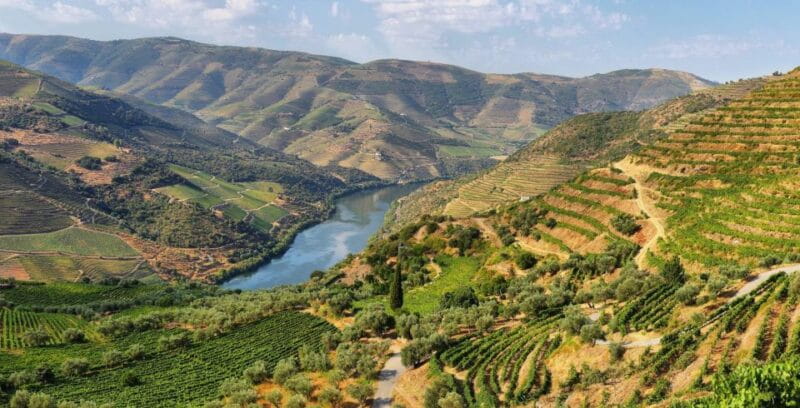 Tour Porto Douro Valley | The richness of Wine | ALL INCLUD. - Who Will Love This Tour?