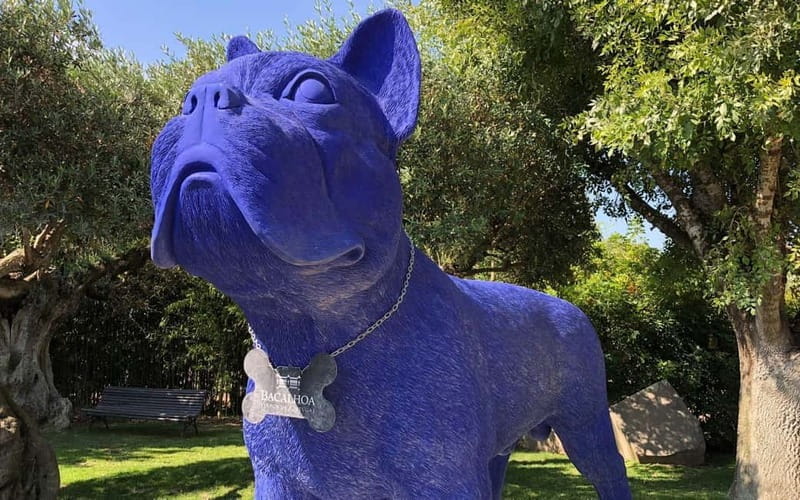 Tour Private Wine Tasting - The Experience Provider: My Tuk Life Tours