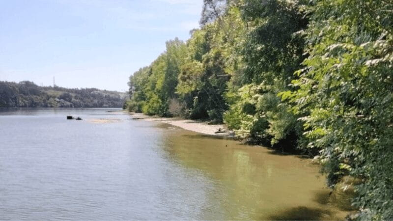 Tour Stand Up Paddle - Dessert Islands Douro - Pick up point - Practicalities: Logistics, Timing, and Suitability