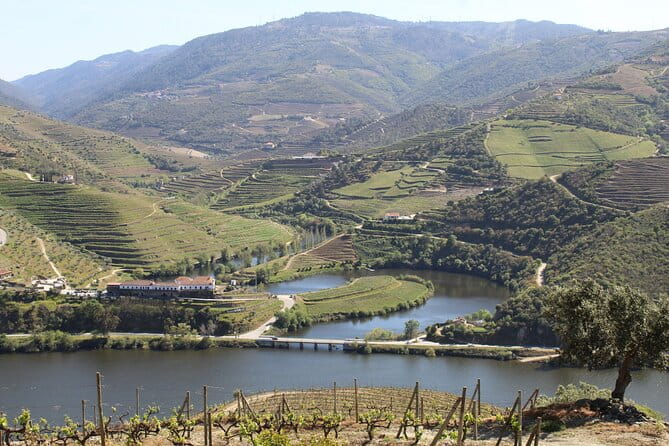 Tour the Douro wine region, and discover the fantastic landscape - A Scenic Journey Through Portugal’s Douro Valley