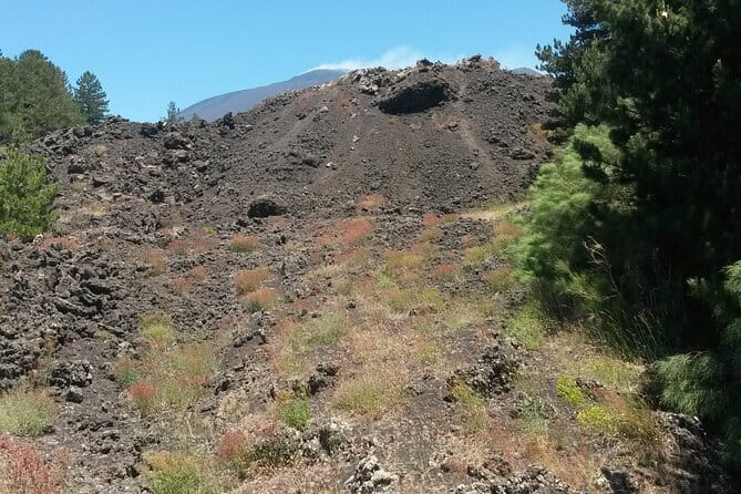 Tour to Etna Volcano and Taormina from Giardini Naxos - Taormina - FAQ