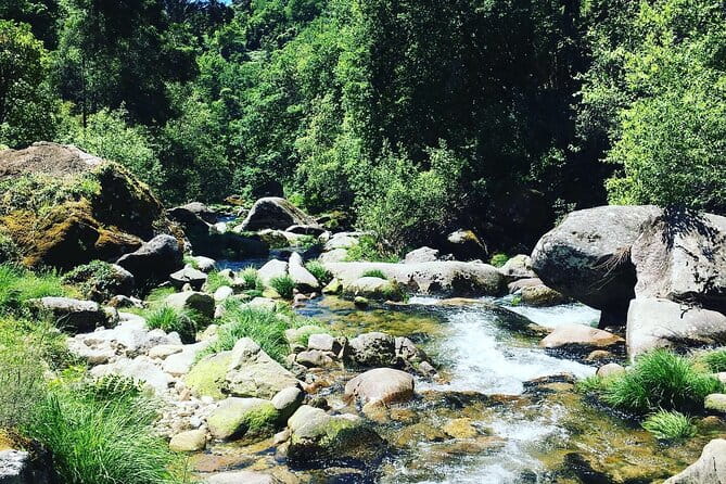 Tour to Gerês in 4x4 full day with option of SUP Tour - Discovering Gerês: A 4x4 Adventure with Natural Wonders