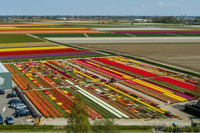 Tour to Giethoorn and Keukenhof Tulip Fields from Amsterdam - FAQs