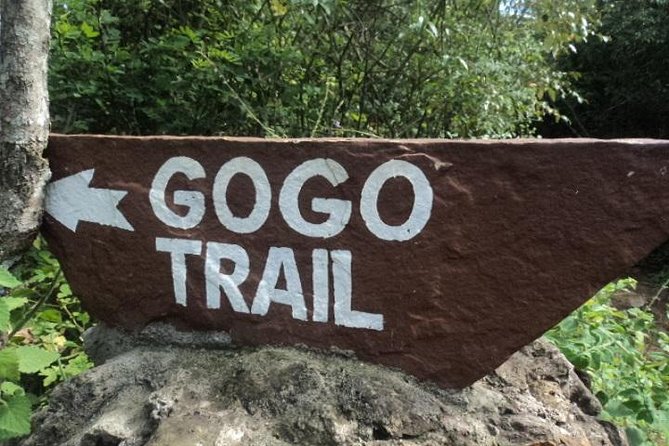 Tour to Giraffe Center From Nairobi - Free Cancellation Policy