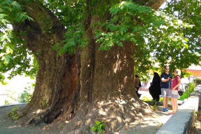 Tour to Kakheti. Sighnaghi Bodbe Monastery Tsinandali Telavi Winery Gombori - The Wine and Food Experience: Learning and Tasting