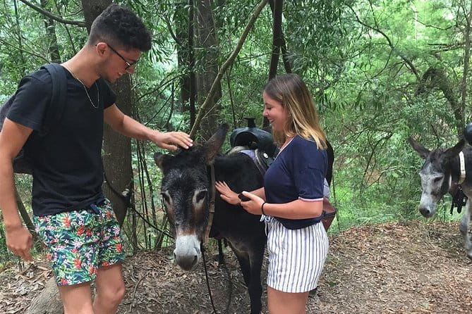 Tour to the Waterfalls in 4x4 full day - Final Thoughts