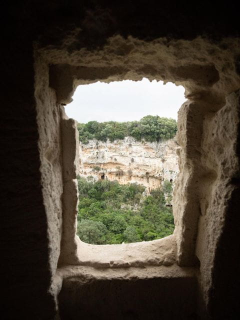 Tour tra i Templi dell'Olio e gli Olivi Patriarchi - FAQ