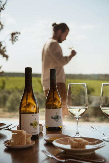 Tour with Wine and Olive Oil Tasting - Exploring the Experience: What You Can Expect