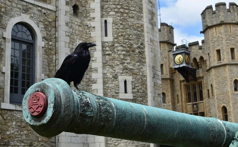 Tower of London & The Great Fire Monument Pass - Key points / Takeaways