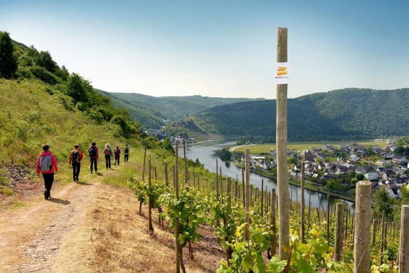 Traben-Trarbach / Bernkastel-Kues, Moselle: Wine experience hike - Key Points / Takeaways