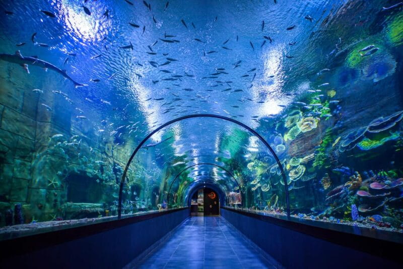 Trabzon: Atatürk Mansion, Ayasofya Mosque, Private Tour - Key Points / Takeaways