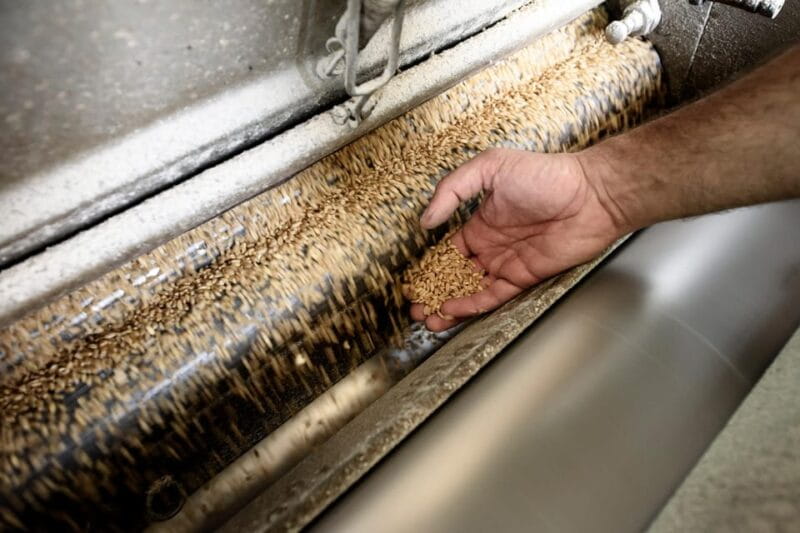 Tradition and taste: tour of Caltagirone's historic mill - A Close Look at the Historic Mill Tour in Caltagirone