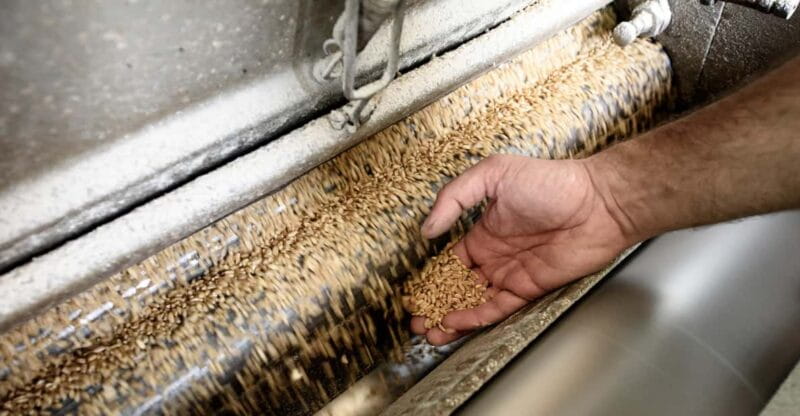 Tradition and taste: tour of Caltagirone's historic mill - Key Points / Takeaways