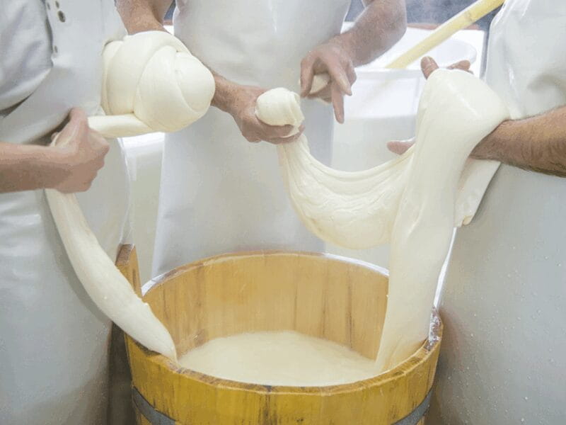 Traditional Cheese Factory Visit with Tasting near Isernia - Key Points / Takeaways