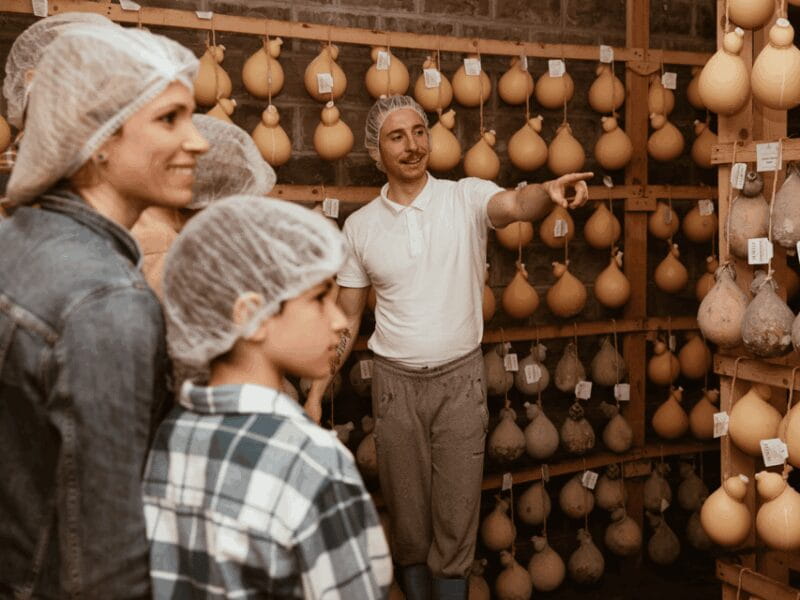 Traditional Cheese Factory Visit with Tasting near Isernia - Visiting the Aging Cellars and Salting Rooms