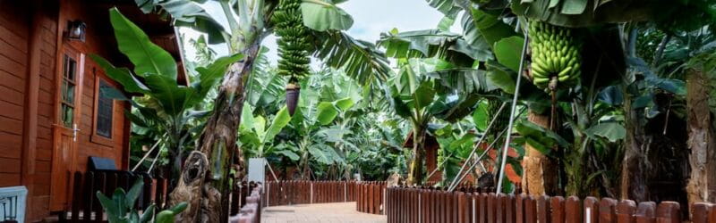 Traditional Gran Canaria: Arucas, Firgas and Teror - FAQ: Your Practical Questions Answered