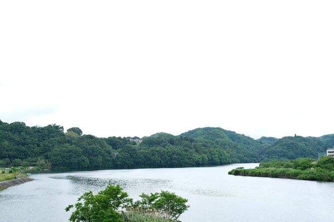 Traditional Japanese Food Tour With a Food Expert - Discovering Yamanashi Prefecture