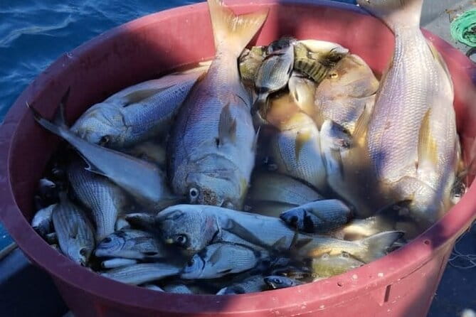 Traditional Mengo Fishing & fish picnic Hvar - Key points / Takeaways