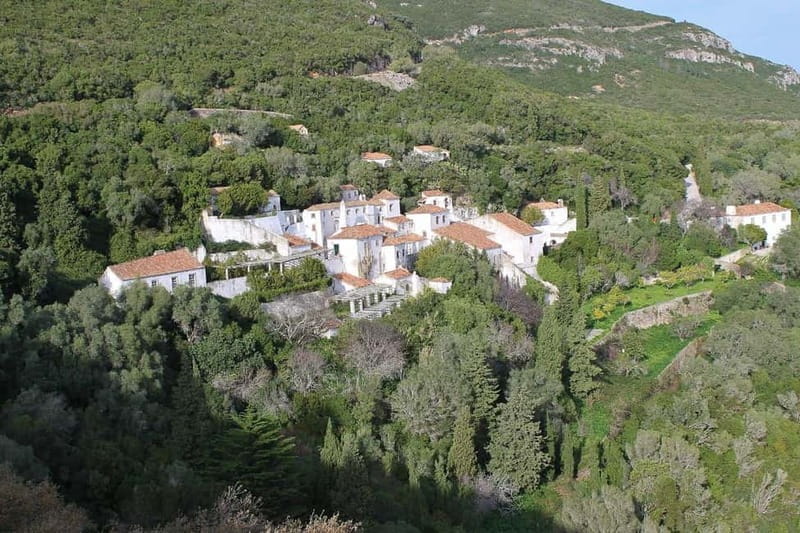 Traditional Private Setúbal Food Tasting Experience - Key Points / Takeaways