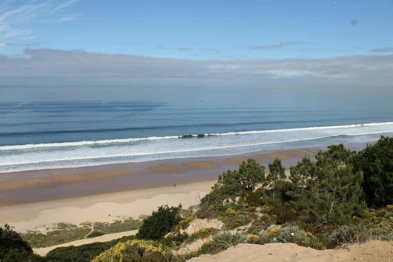 Traditional Private Setúbal Food Tasting Experience - Final Thoughts